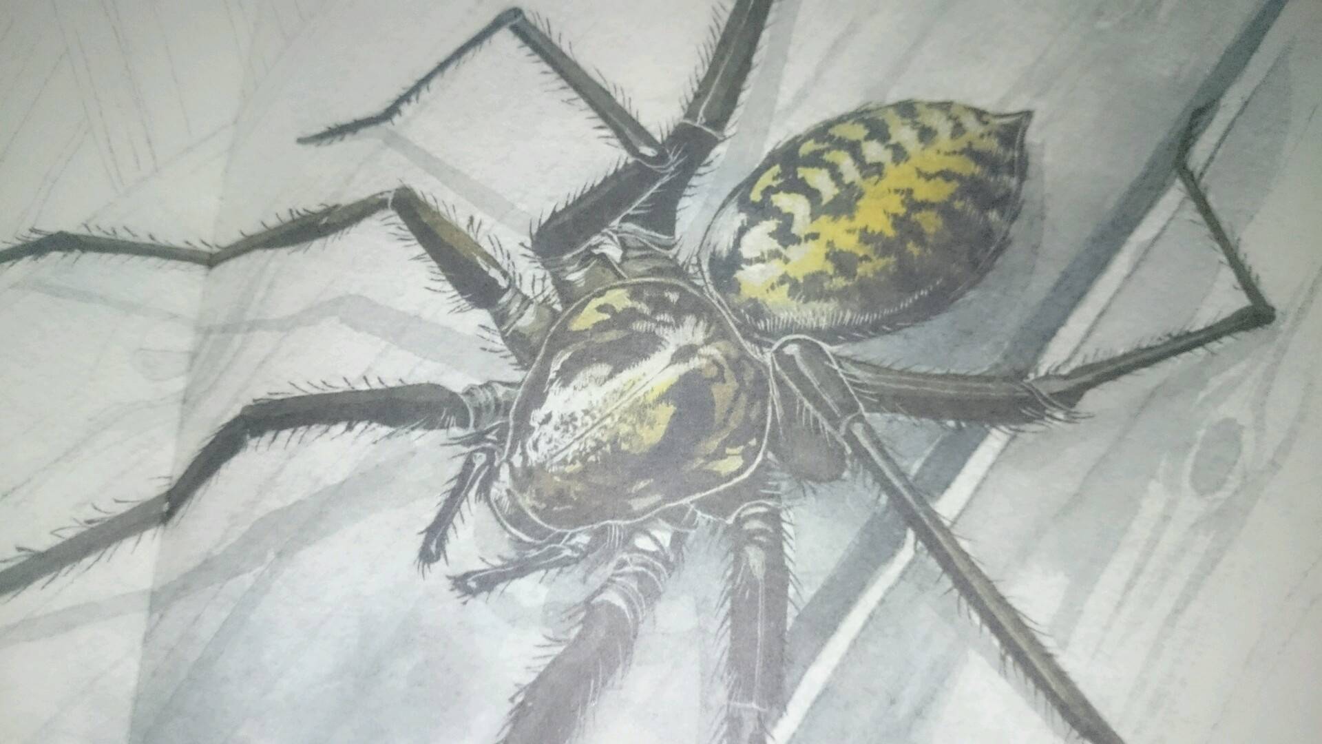 Иллюстрация 123 из 127 для Музей живых насекомых - Франсуа Лассерр | Лабиринт - книги. Источник: Юшко Екатерина