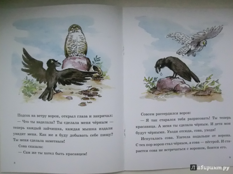 Иллюстрация 26 из 44 для О честном вороне, коварной сове и глупом лисе | Лабиринт - книги. Источник: НАТАЛИЯ