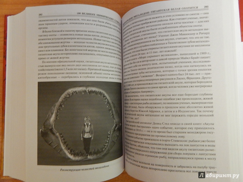 Иллюстрация 28 из 32 для 100 великих мифических существ - Николай Непомнящий | Лабиринт - книги. Источник: komer45