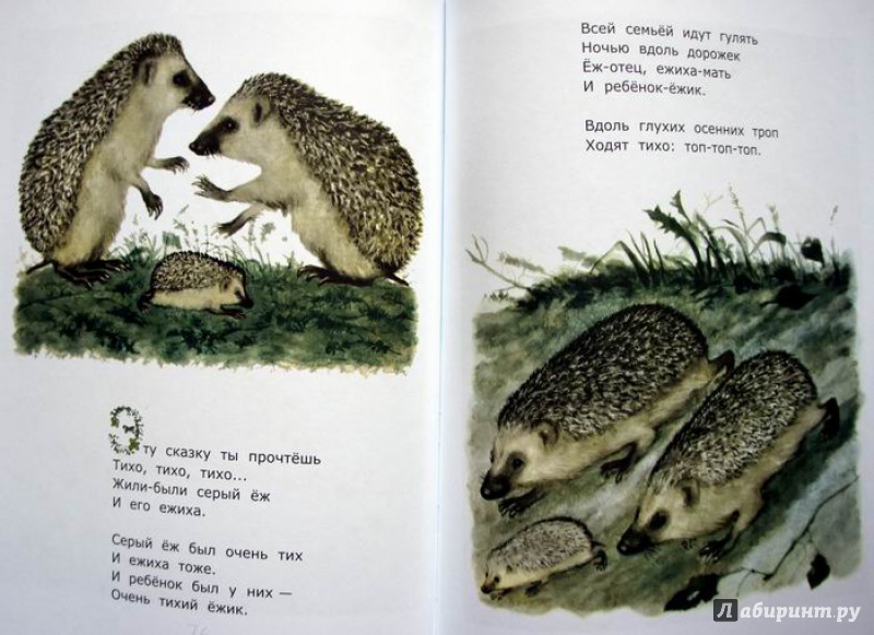 Иллюстрация 15 из 36 для Сказки - Самуил Маршак | Лабиринт - книги. Источник: Svekolko