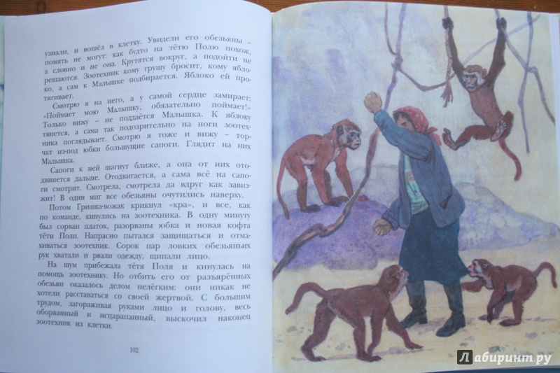Иллюстрация 24 из 43 для Фомка - белый медвежонок - Вера Чаплина | Лабиринт - книги. Источник: Маслова  Анна