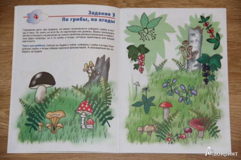 Иллюстрация 5 из 26 для Окружающий мир. Для детей 5-6 лет - И. Бушмелева | Лабиринт - книги. Источник: loko-moko