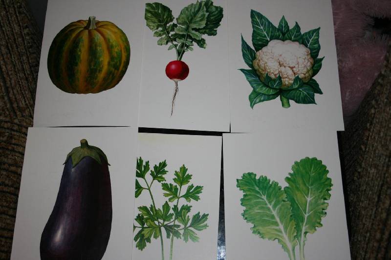 Иллюстрация 15 из 19 для Фрукты, Овощи. Ягоды | Лабиринт - книги. Источник: Счастливая мама