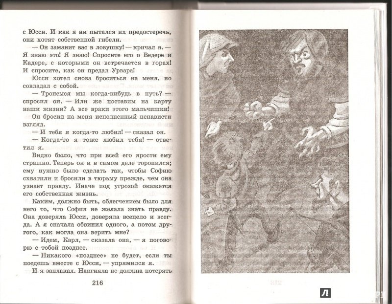 Иллюстрация 17 из 19 для Братья Львиное Сердце - Астрид Линдгрен | Лабиринт - книги. Источник: Alex