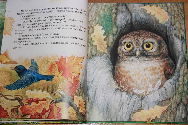 Иллюстрация 29 из 35 для Сказки о животных - Виталий Бианки | Лабиринт - книги. Источник: Vilvarin  Laurea