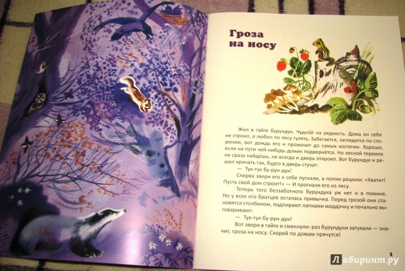 Иллюстрация 26 из 39 для Как медведя будили - Александр Барков | Лабиринт - книги. Источник: Бог в помощь