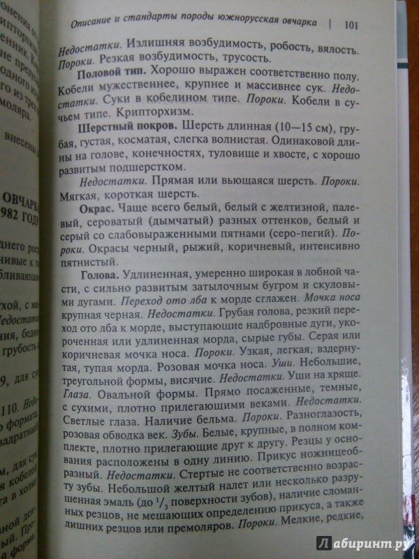 Иллюстрация 9 из 39 для Южнорусская овчарка - Наумова, Виноградова | Лабиринт - книги. Источник: Ульянова Мария