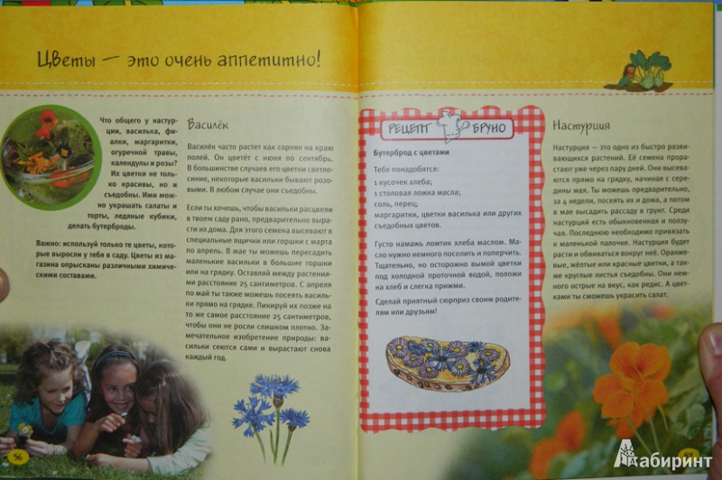 Иллюстрация 5 из 12 для Маленький повар + Маленький садовник - Флото-Штаммен, Кюппер, Вагнер | Лабиринт - книги. Источник: JuNi