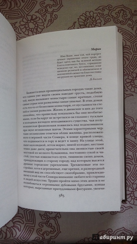 Иллюстрация 45 из 45 для Шагреневая кожа. Гобсек. Евгения Гранде - Оноре Бальзак | Лабиринт - книги. Источник: Кузьмина  Вера Александровна