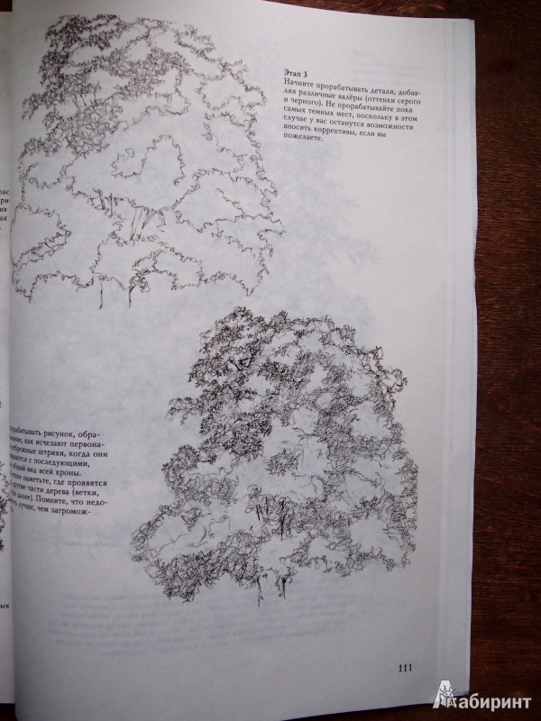 Иллюстрация 12 из 61 для Деревья - Стенли Молцмен | Лабиринт - книги. Источник: Kary