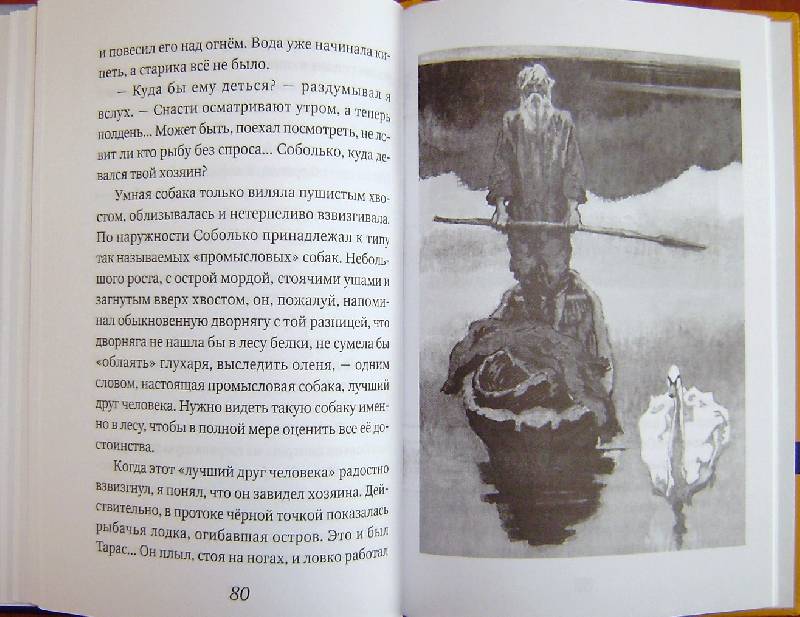 Иллюстрация 30 из 33 для Серая Шейка - Дмитрий Мамин-Сибиряк | Лабиринт - книги. Источник: BOOKвочка