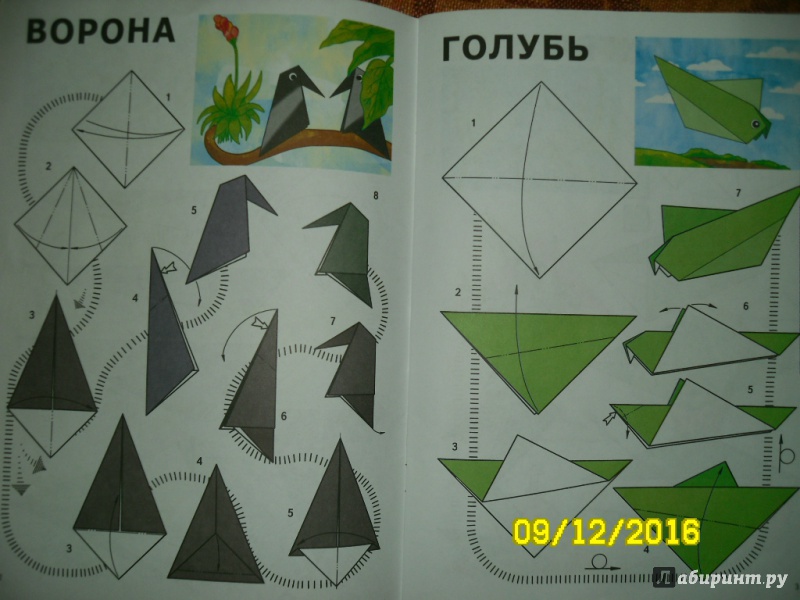 Иллюстрация 6 из 34 для Оригами для малышей. 4+. Простые модели. ФГОС ДО - Виктор Выгонов | Лабиринт - книги. Источник: Дорофеева  Анна