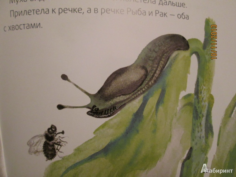 Иллюстрация 27 из 29 для Хвосты - Виталий Бианки | Лабиринт - книги. Источник: Алонсо Кихано