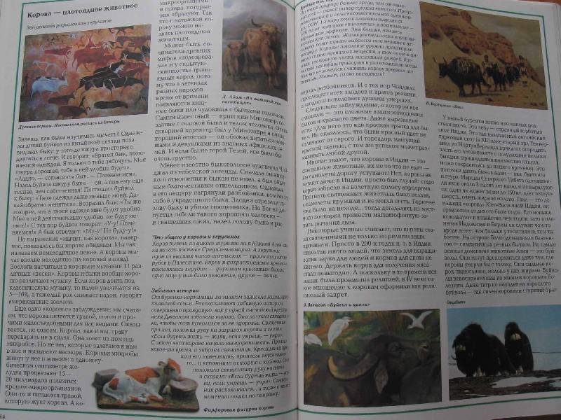 Иллюстрация 18 из 32 для Загадки и тайны домашних животных - Светлана Лаврова | Лабиринт - книги. Источник: Red cat ;)
