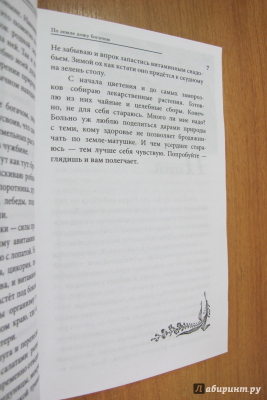 Иллюстрация 6 из 17 для Лес - место силы - Юрий Новиков | Лабиринт - книги. Источник: Hitopadesa