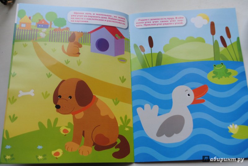 Иллюстрация 4 из 9 для Животные и их детеныши | Лабиринт - книги. Источник: ТаксаГав