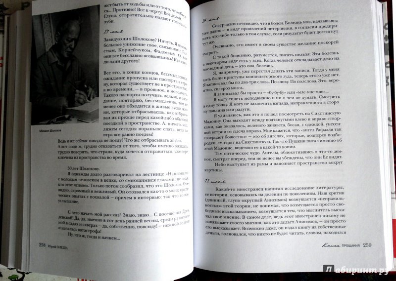 Иллюстрация 37 из 41 для Книга прощания - Юрий Олеша | Лабиринт - книги. Источник: nata_romina