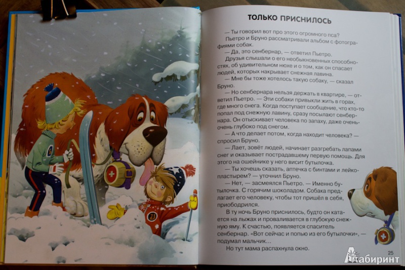 Иллюстрация 17 из 36 для Веселые истории о животных - Пьеранджела Фьорани | Лабиринт - книги. Источник: nata_