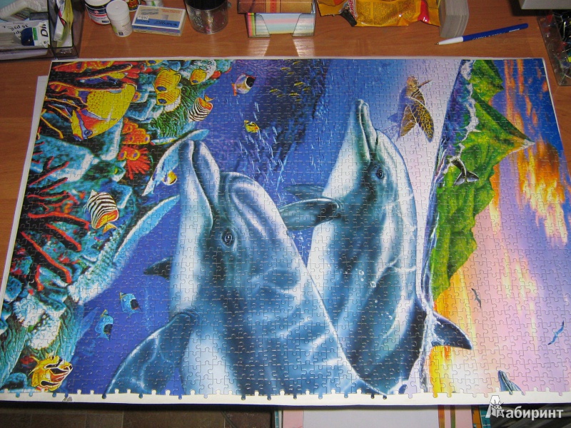 Иллюстрация 3 из 15 для Лагуна дельфинов, 3000 деталей (C-300259-М) | Лабиринт - игрушки. Источник: Мартемьянова  Елена Юрьевна