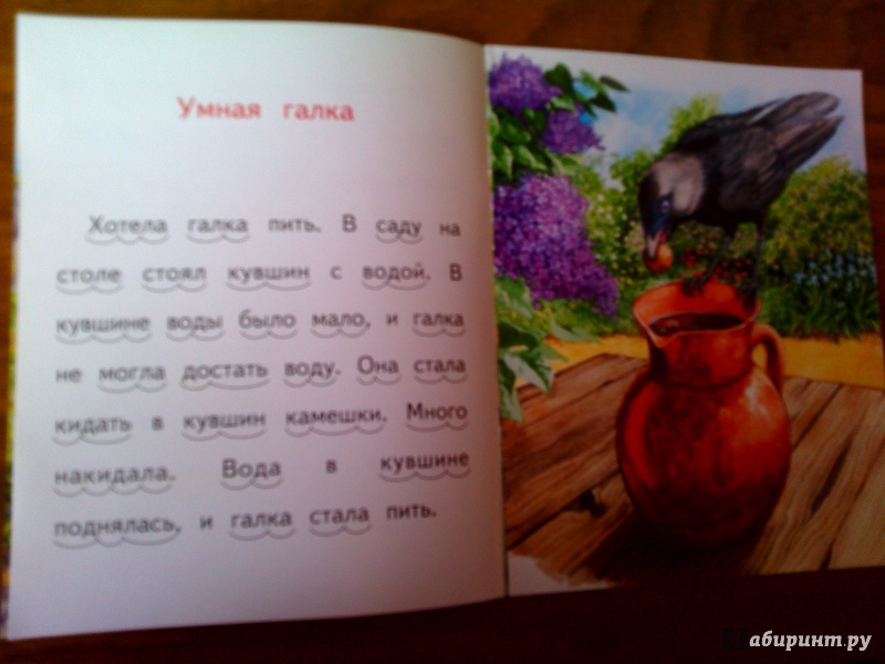 Иллюстрация 25 из 28 для Умная галка - Лев Толстой | Лабиринт - книги. Источник: Ира Похвалит