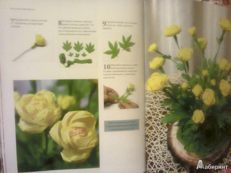 Иллюстрация 5 из 9 для Цветы и букеты из гофрированной бумаги - Агнешка Бойраковска-Пшенесло | Лабиринт - книги. Источник: G