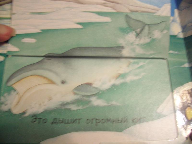 Иллюстрация 6 из 7 для В море. Кто это там - Эмили Бомон | Лабиринт - книги. Источник: unnamed