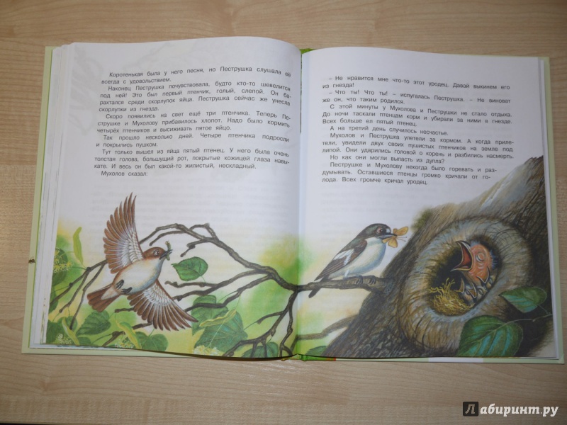 Иллюстрация 5 из 34 для Как муравьишка домой спешил - Виталий Бианки | Лабиринт - книги. Источник: Юлия
