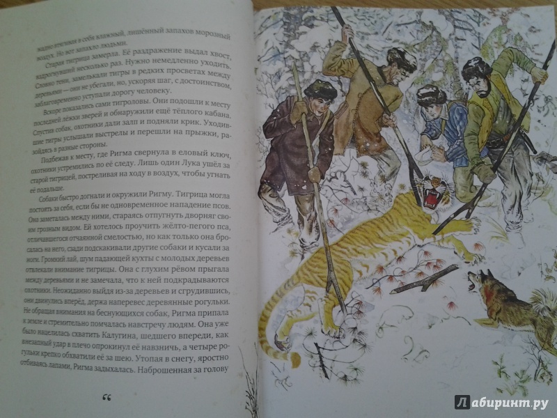 Иллюстрация 59 из 154 для Золотая Ригма - Всеволод Сысоев | Лабиринт - книги. Источник: Olga