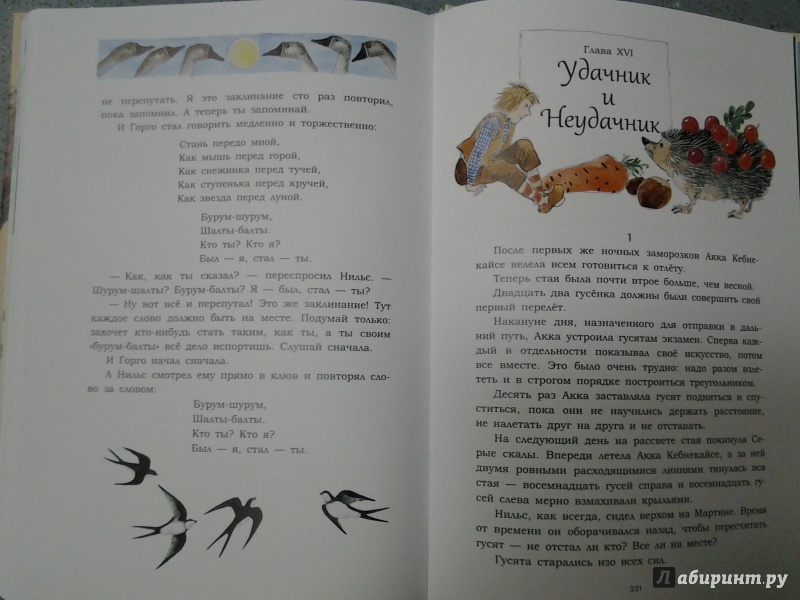 Иллюстрация 29 из 36 для Чудесное путешествие Нильса с дикими гусями - Сельма Лагерлеф | Лабиринт - книги. Источник: Olga