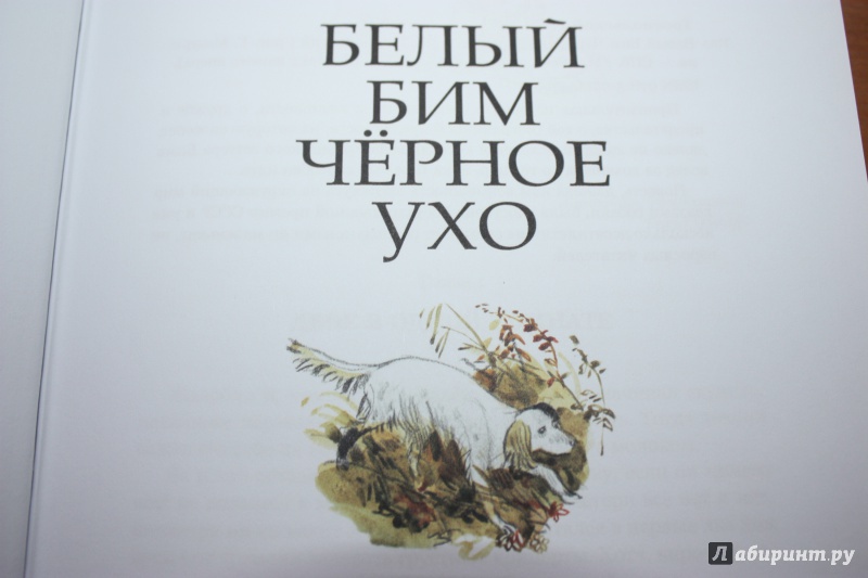 Иллюстрация 71 из 113 для Белый Бим Черное ухо - Гавриил Троепольский | Лабиринт - книги. Источник: Bradbury