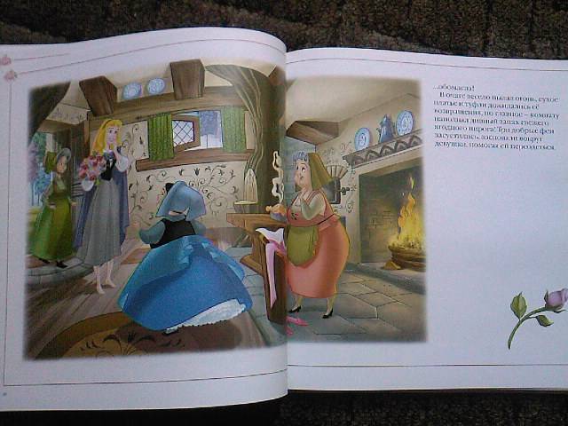 Иллюстрация 3 из 7 для Путеводитель по миру принцесс. Подарочная | Лабиринт - книги. Источник: Турист
