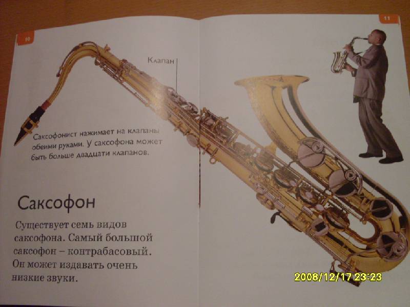 Иллюстрация 7 из 12 для Музыкальные инструменты - Дениз Райан | Лабиринт - книги. Источник: Марта
