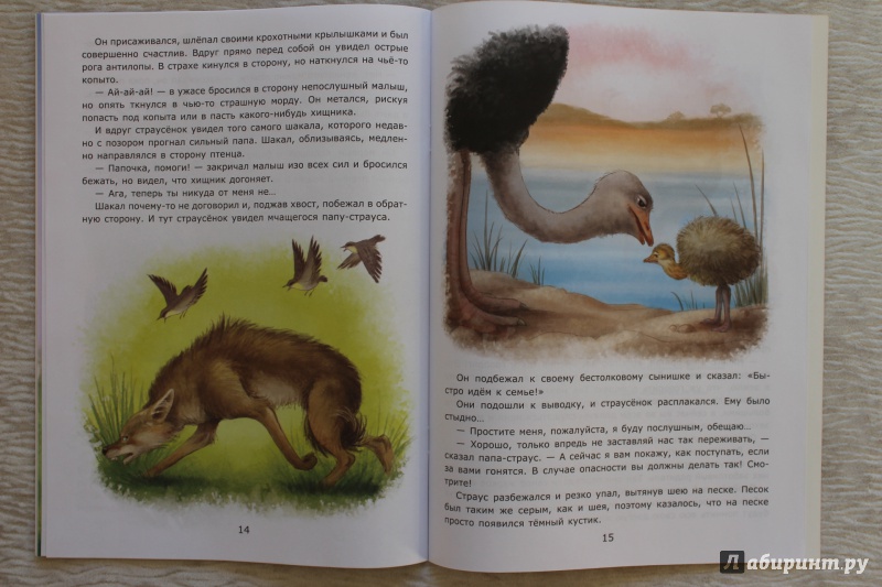 Иллюстрация 30 из 31 для Заботы страуса - Лариса Тарасенко | Лабиринт - книги. Источник: По страницам детских книг