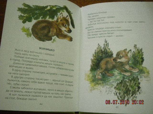 Иллюстрация 15 из 55 для Болтливая сорока - Евгений Чарушин | Лабиринт - книги. Источник: Девушка с кошкой