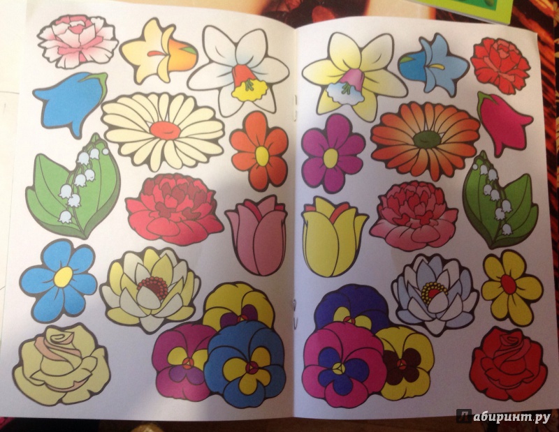 Иллюстрация 4 из 18 для Цветочная поляна | Лабиринт - игрушки. Источник: Лабиринт