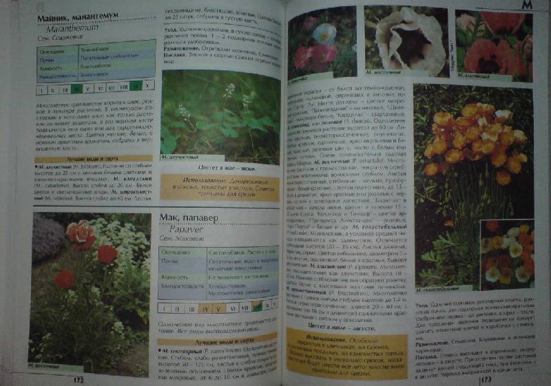 Иллюстрация 6 из 8 для Цветы в саду, или 1000 цветов для вашего сада - Валентин Воронцов | Лабиринт - книги. Источник: Настёна