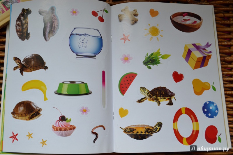 Иллюстрация 16 из 18 для Моя милая черепаха | Лабиринт - книги. Источник: ИрМур