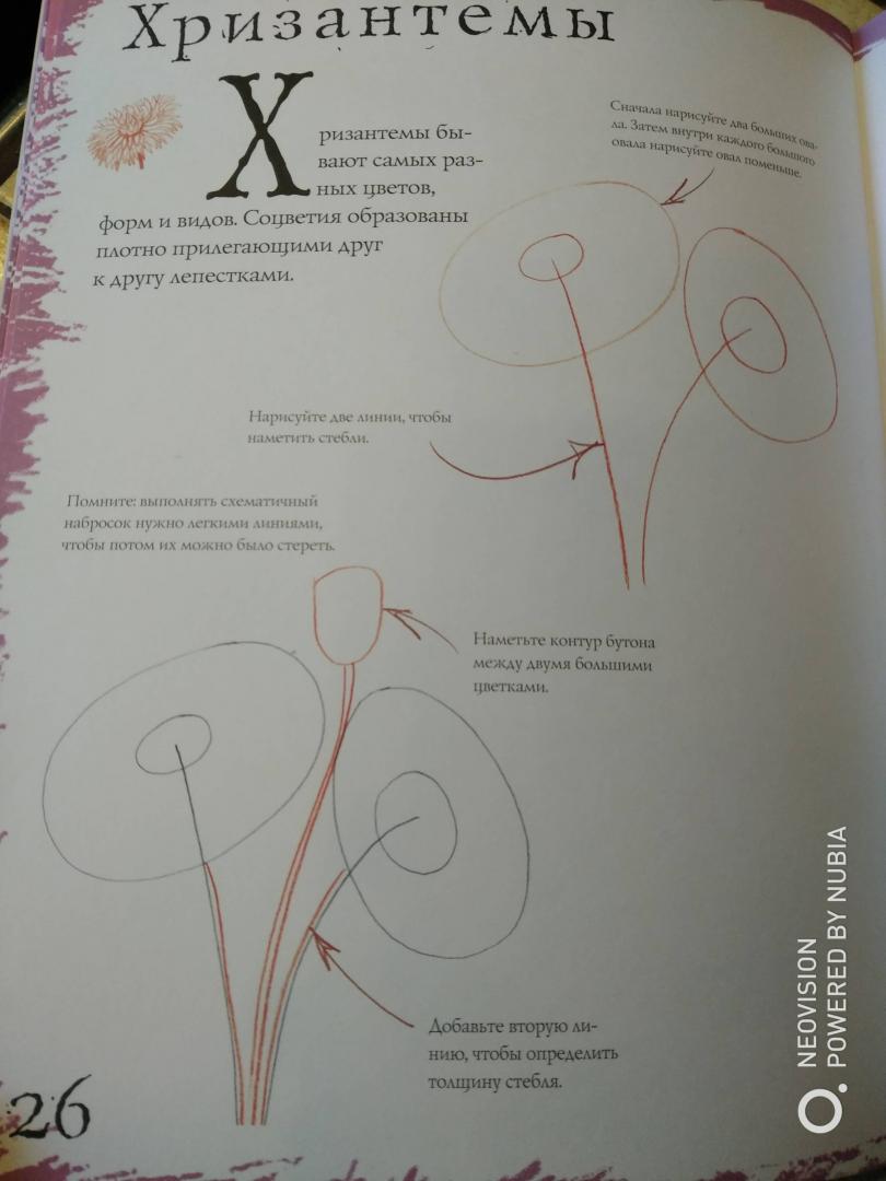 Иллюстрация 15 из 21 для Как рисовать. Цветы - Марк Берджин | Лабиринт - книги. Источник: Филифьонка