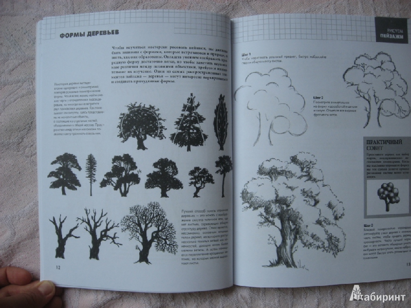 Иллюстрация 7 из 12 для Рисуем пейзажи - Питер Грей | Лабиринт - книги. Источник: Юта