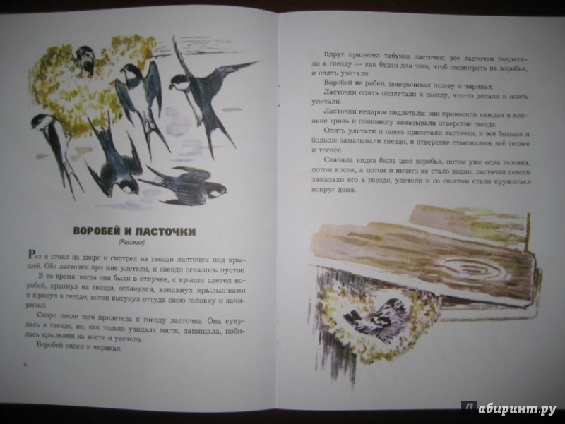 Иллюстрация 20 из 48 для О животных и птицах - Лев Толстой | Лабиринт - книги. Источник: Никoль