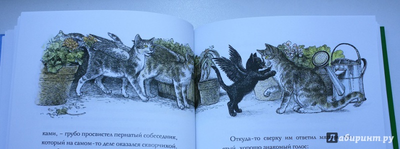 Иллюстрация 24 из 38 для Крылатые кошки возвращаются - Гуин Ле | Лабиринт - книги. Источник: КНИЖНОЕ ДЕТСТВО