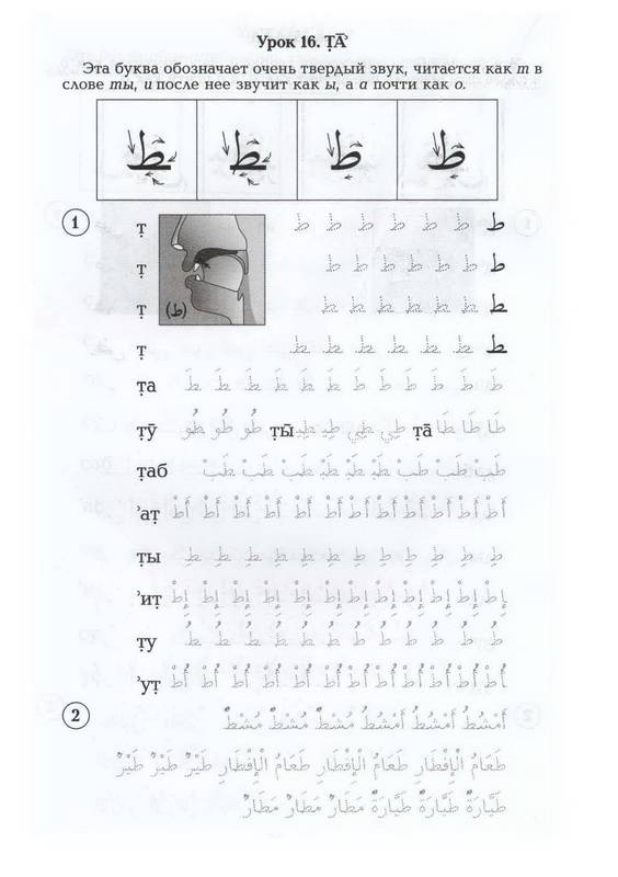Иллюстрация 26 из 27 для Арабский язык. Пропись | Лабиринт - книги. Источник: Ялина