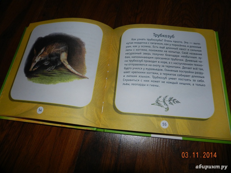 Иллюстрация 4 из 11 для Удивительные животные - Александр Тихонов | Лабиринт - книги. Источник: Косова  Мария