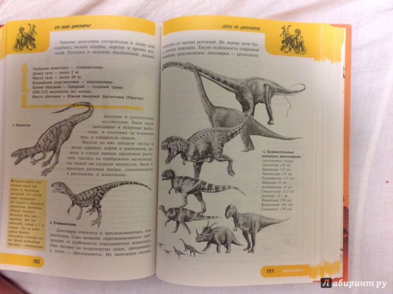 Иллюстрация 15 из 22 для Жизнь замечательных динозавров - Пахневич, Чегодаев | Лабиринт - книги. Источник: Alitalia