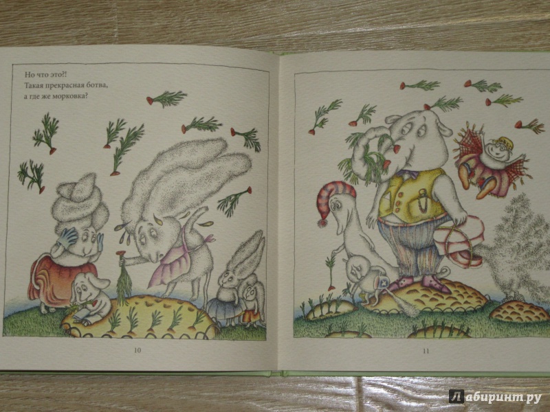 Иллюстрация 51 из 60 для Тайна огорода Снурри - Лидия Шульгина | Лабиринт - книги. Источник: дюдюка барбидокская