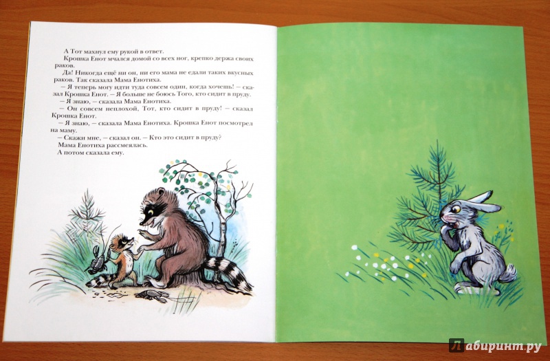 Иллюстрация 76 из 97 для Крошка Енот и тот, кто сидит в пруду - Лилиан Муур | Лабиринт - книги. Источник: Tatiana_Ru