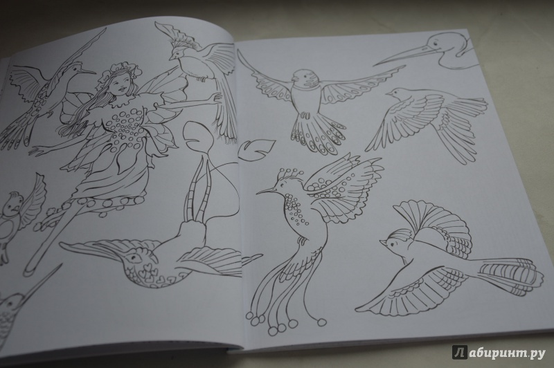 Иллюстрация 13 из 34 для Сказочные феи. Раскраска | Лабиринт - книги. Источник: Оксана