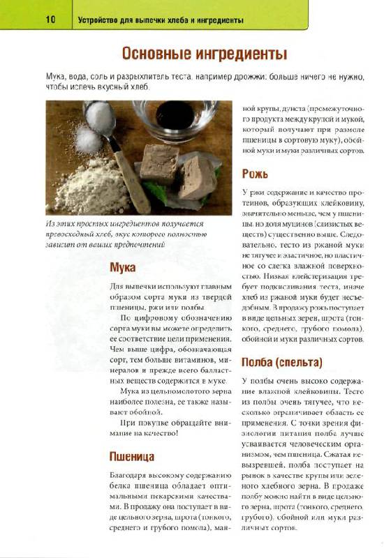 Иллюстрация 5 из 16 для Выпекаем хлеб и булочки. Ароматные рецепты для хлебопечки и духовки - Мирьям Байле | Лабиринт - книги. Источник: Юта