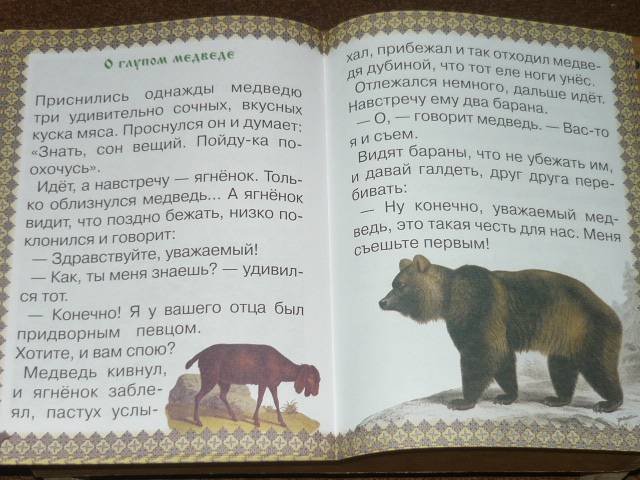 Иллюстрация 21 из 41 для Косолапые истории. Все о медведях - Екатерина Малинина | Лабиринт - книги. Источник: Ромашка:-)