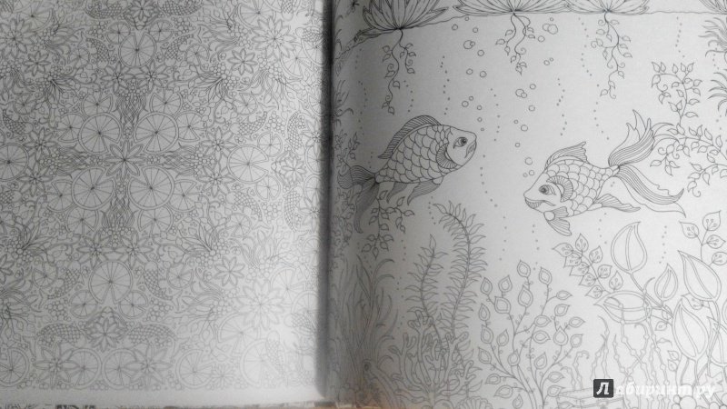 Иллюстрация 146 из 149 для Таинственный сад - Джоанна Бэсфорд | Лабиринт - книги. Источник: Красная шапочка